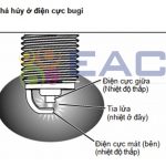 Tìm Hiểu Tổng Quan Về Bugi