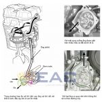 Mạch Dung Dịch Làm Mát Xe Máy